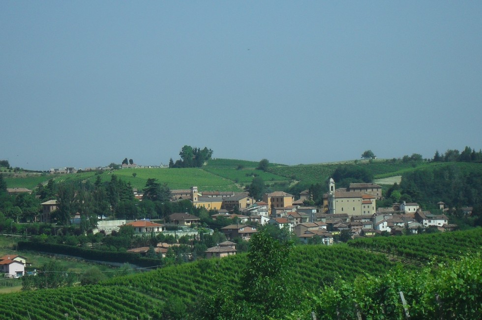 Colline del Monferrato - Unesco - Castelletto Molina